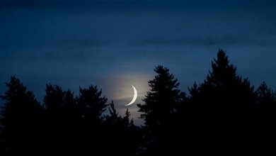 Moon Sighting 1