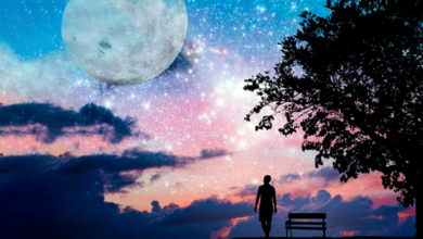 Mulhin Badhalu Vejjey Lhen featured