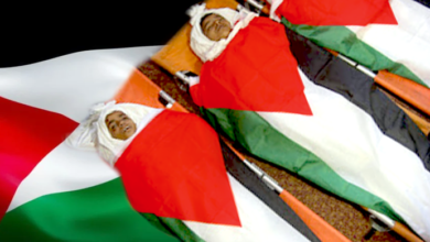 Palestine Dhidhaige dhulun featured image