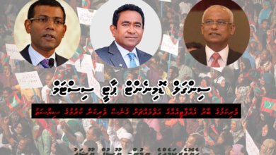 Single Dominent Party System