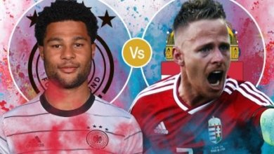 crop 15362084 3 450x300 1