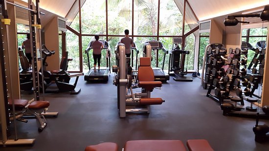 fitness gym
