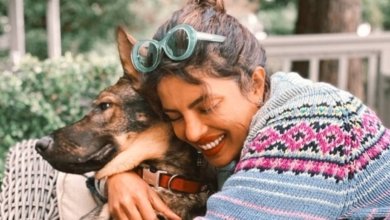 freepressjournal 2020 05 1b84b23f 62fc 4af1 afed d9dc64d3e50f 95580233 251638422873778 6824182963375449675 n