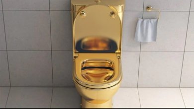 gold toilet