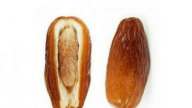 images 36