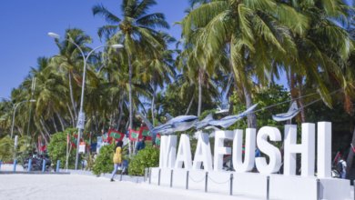 l 2020 01 10 115136 o9jbf4klz8mpe6aswvrx15niq7d2gthyuc3 EN