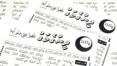 large image rpJwZY0y4o7rLaw