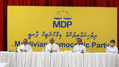 mdp 1