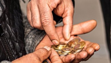 pexels matthias derksen 11333461