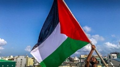 photo6134118446322002853