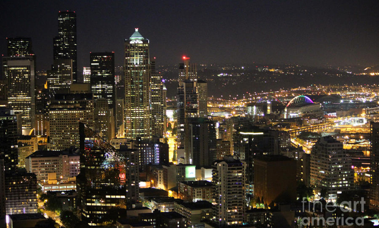 seattle skyline at night stacey may