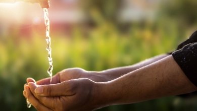 sunnah acts of ablution