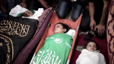 thumbs b c 8d08d920a05d65a06f2873e5291bad9d