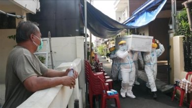 thumbs b c d2ea6f08aab3a62e51776642db36f633