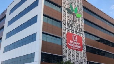 treetop o1kjrzhbl6yzx6up4f26zl9ukyxtbcvrn7rcurbwj4